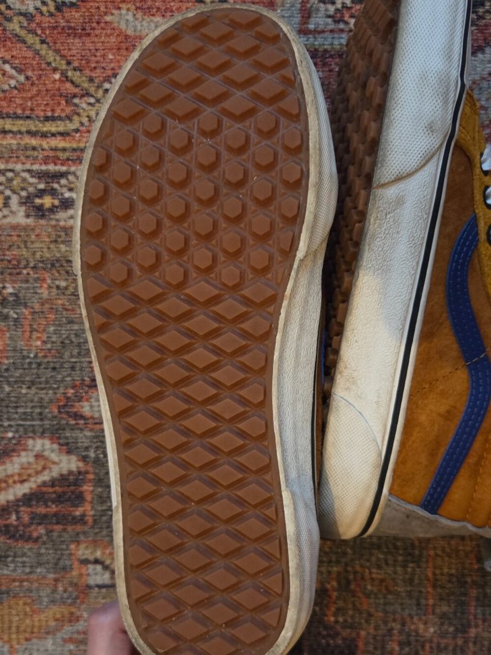 Multicolor Vans - Picture 5 of 6